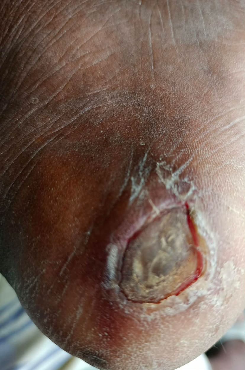 Patient image 31